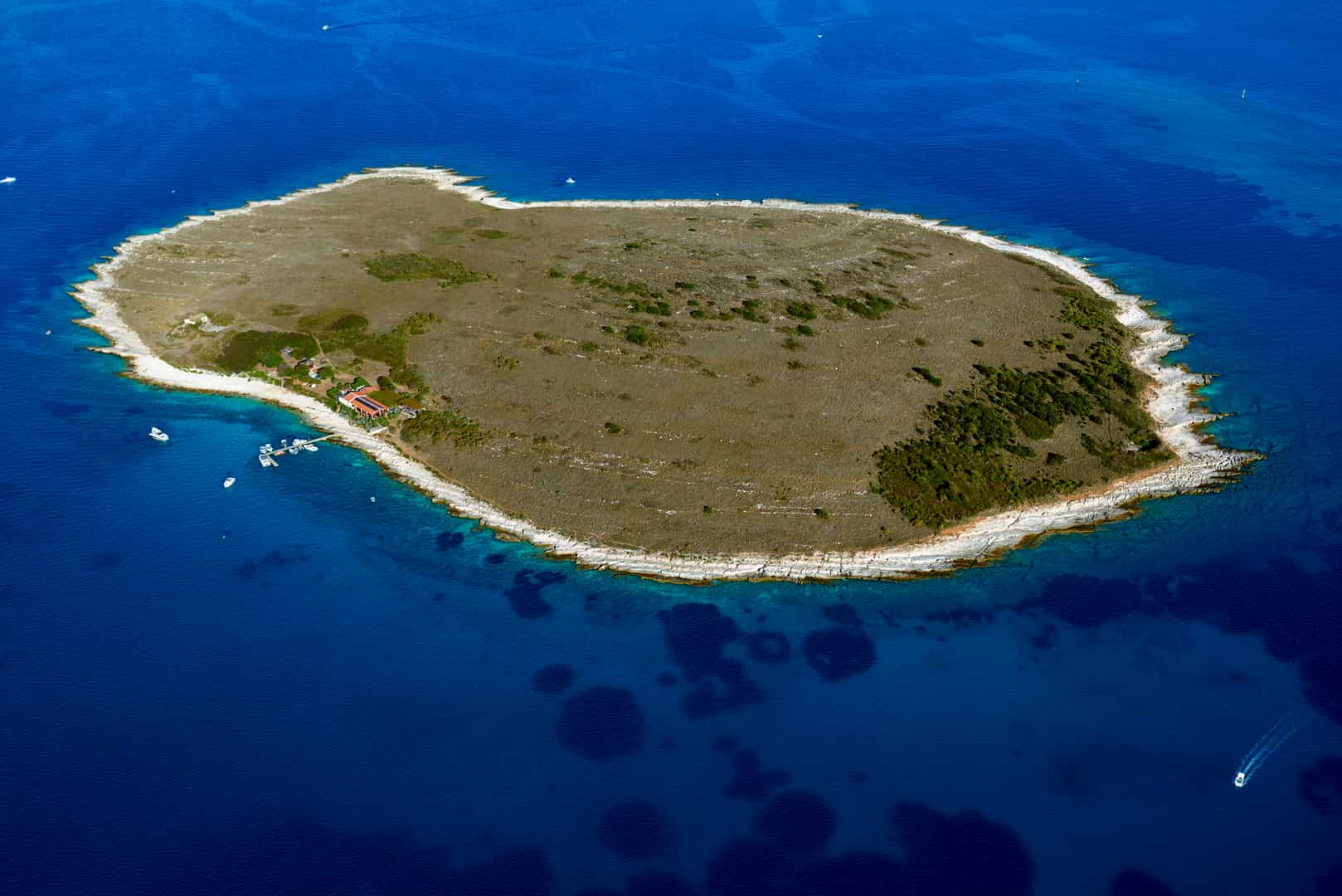 TZOM OtokCeja MedulinArhipelag IgorZirojevic